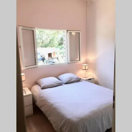 Villa Le Petit Havre In Summer Lacanau