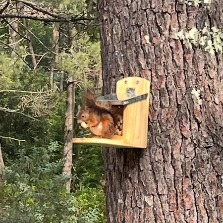 Le Petit Havre In Summer
